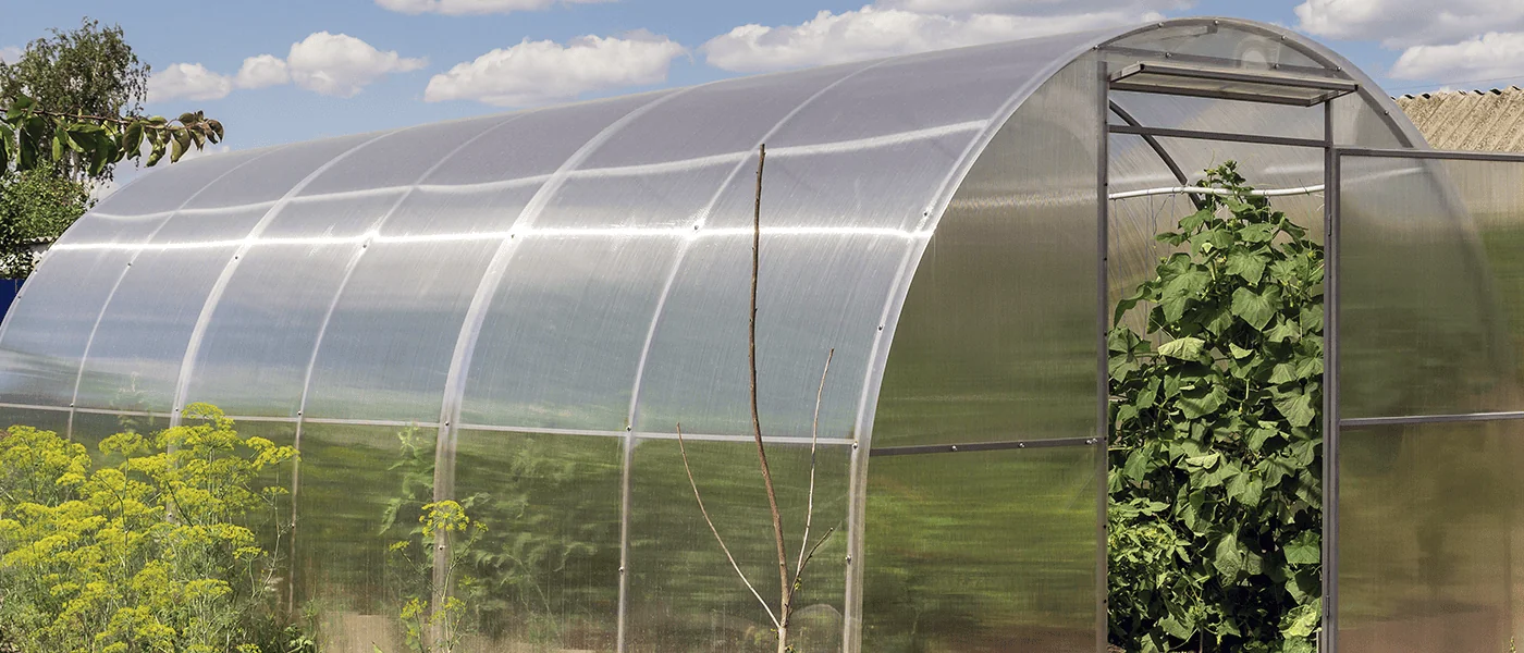 Как выбрать поликарбонат для теплицы? 3 Polycarbonate.md Как выбрать поликарбонат для теплицы? - Polycarbonate.md