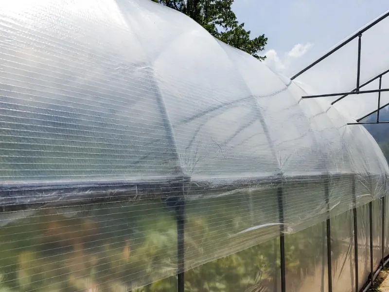 Армированная пленка для теплиц: как выбрать и где купить в Кишиневе? 4 Polycarbonate.md Folie armată pentru solar: cum să alegi și unde să cumperi în Chișinău? - Polycarbonate.md